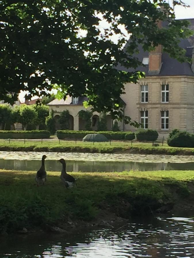 Chateau De Vitry-La-Ville Exterior foto